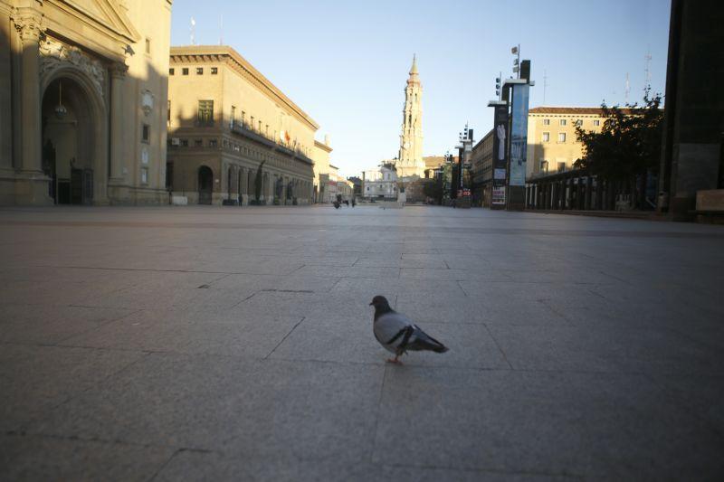 paseo independeincia vacio